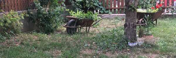 /family/butyi/bereal/2026/photos/2026_1781802688.jpg