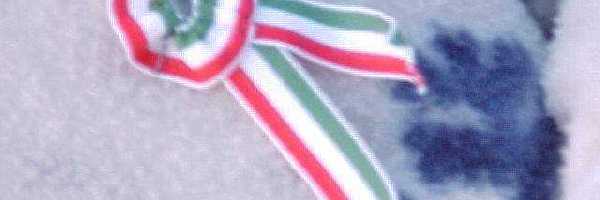 /friends/party/xxkirandulas/photos/photo009.jpg