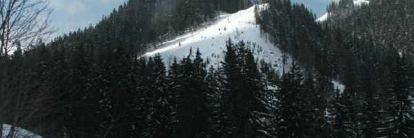 /friends/ski/05niederalpl/photos/photo056.jpg