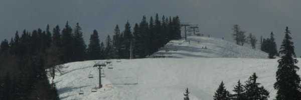 /friends/ski/05niederalpl/photos/photo058.jpg