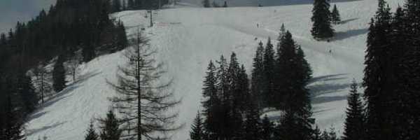/friends/ski/05niederalpl/photos/photo062.jpg