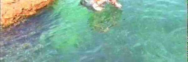 /friends/water/01horv/photos/photo019.jpg