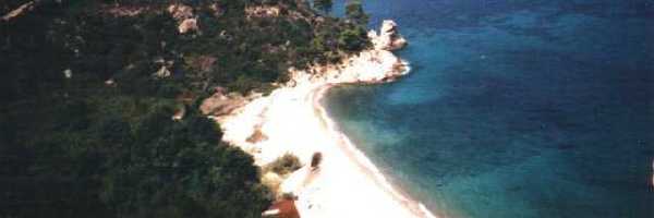/friends/water/02sarti/photos/photo002.jpg