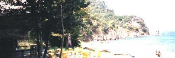 /friends/water/02sarti/photos/photo017.jpg
