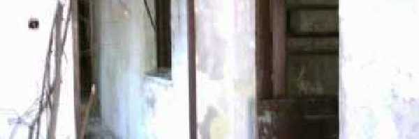 /friends/water/03horv/photos/photo065.jpg