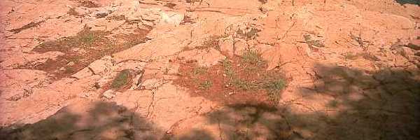 /friends/water/05pula2/photos/photo035.jpg