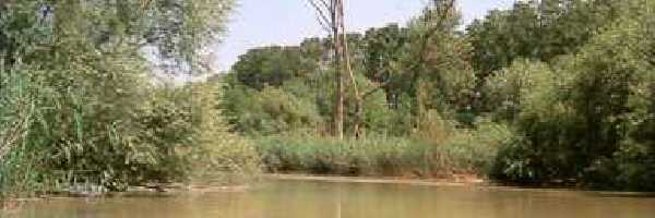 /friends/water/05vizitura/photos/photo027.jpg
