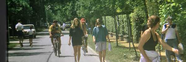/friends/water/95szemes/photos/dia_1582657658.jpg