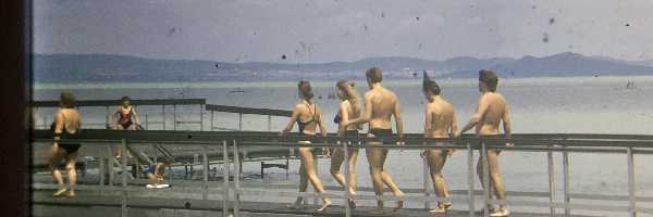 /friends/water/95szemes/photos/dia_1582657790.jpg