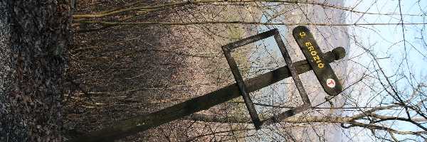 /friends/workplace/visegrad/photos/img_0374.jpg